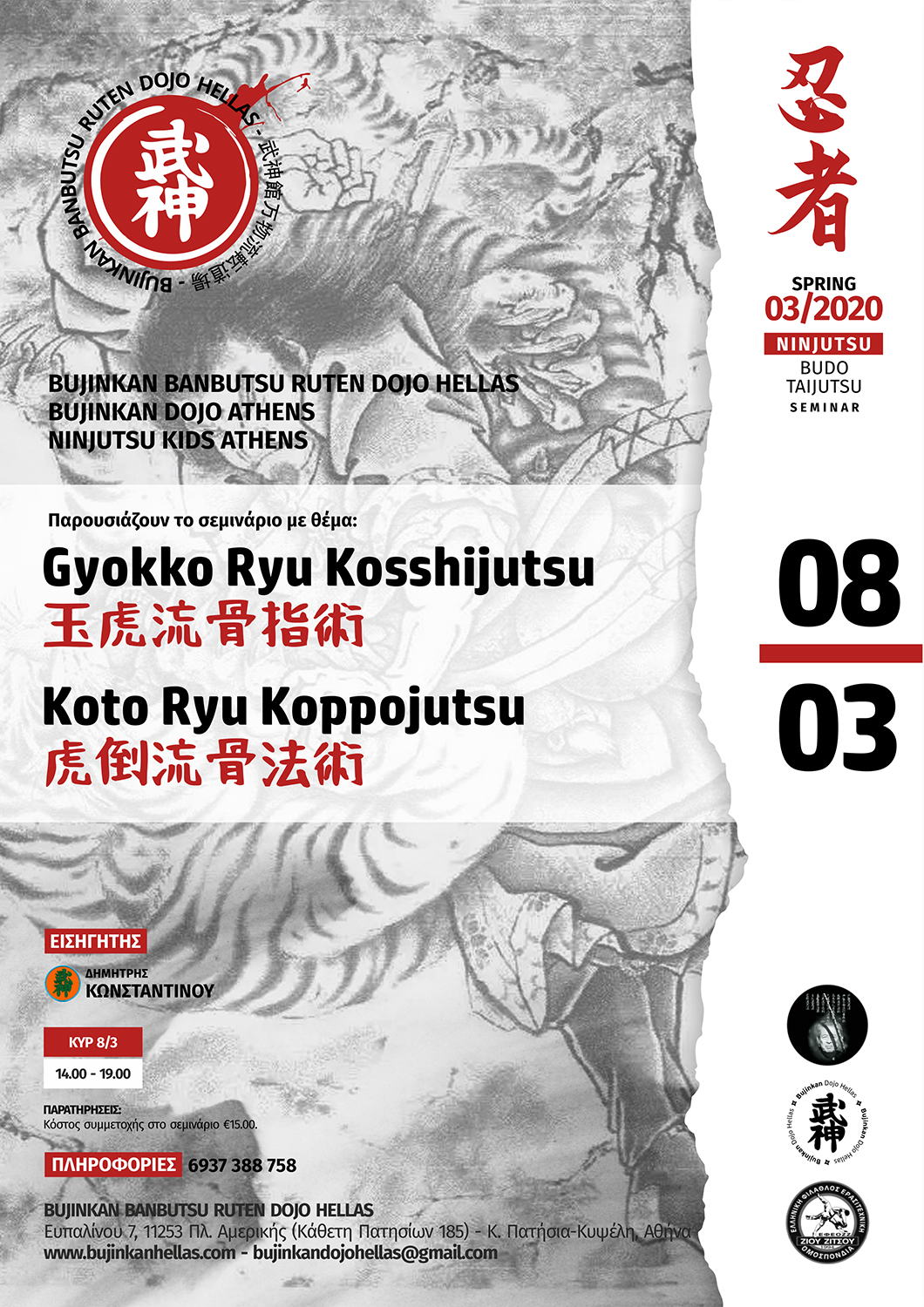 Gyokko Ryu Kosshijutsu - Koto Ryu Koppojutsu